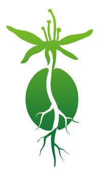 Laxmi Coffee Logo